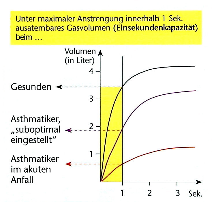 Einsekundenkapazität