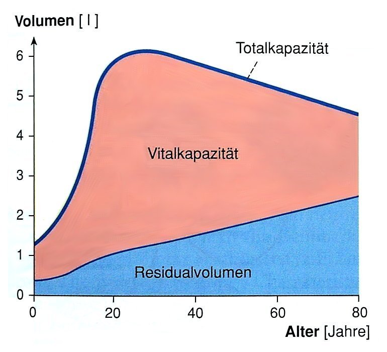 Alter und Lungenvolumina