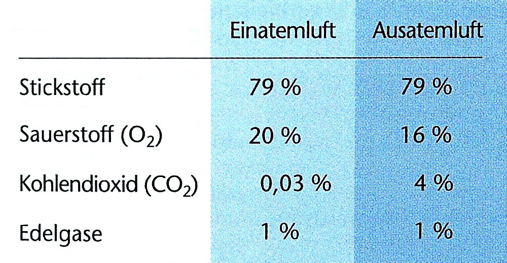 Ein- und Ausatemluft